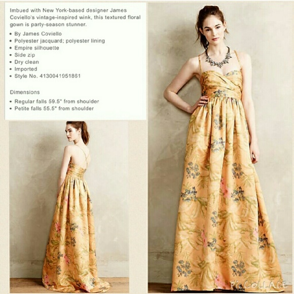 Anthropologie Dresses & Skirts - Gorgeous maxi gown